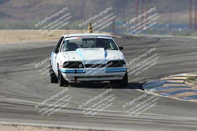 media/Oct-12-2025-Lucky Dog Racing (Sun) [[8adb5568ea]]/1-First Stint/4-Turns 9 and 8/